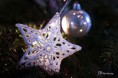 /album/feerie-dun-sapin-/etoile-de-neige-jpg/